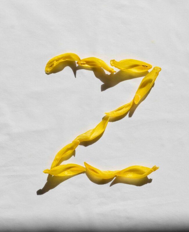 akcia zet yellow flower petals on a white surface