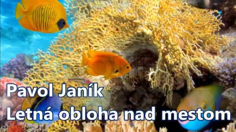 Obrázok je len ilustračný, nesúvisí priamo s textom.