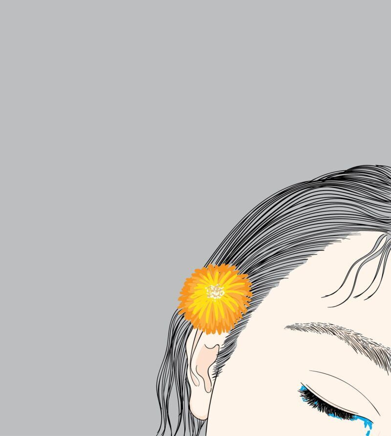 Obrázok je len ilustračný, nesúvisí priamo s textom.