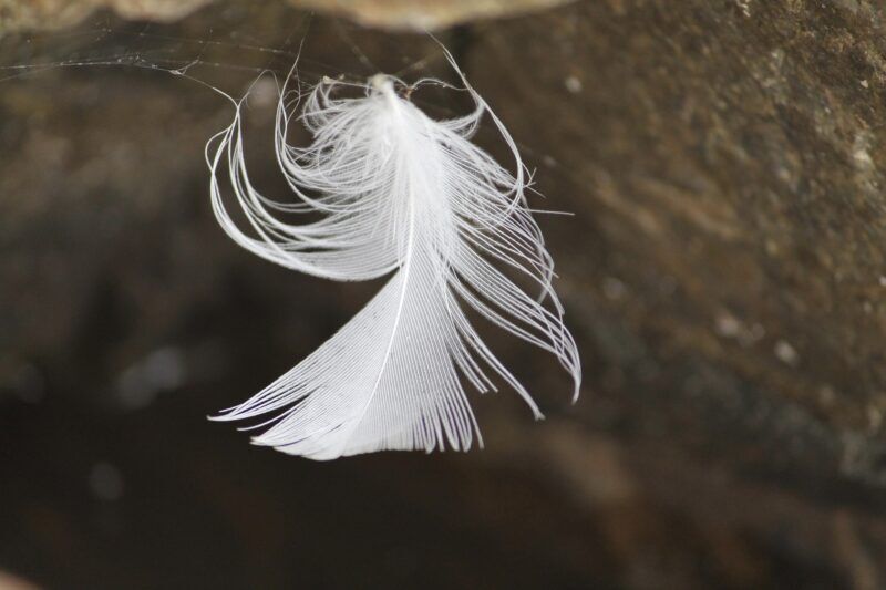 Obrázok je len ilustračný, nesúvisí priamo s textom.