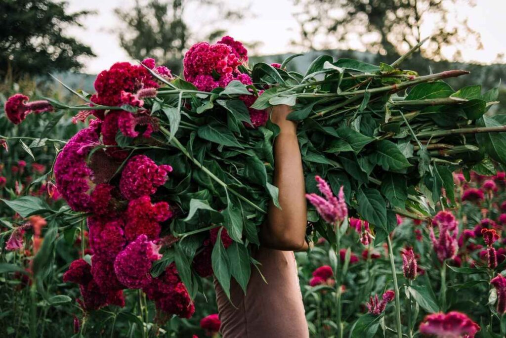 Obrázok je len ilustračný, nesúvisí priamo s textom.