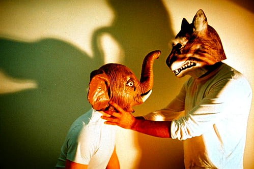 Obrázok je len ilustračný, nesúvisí priamo s textom.