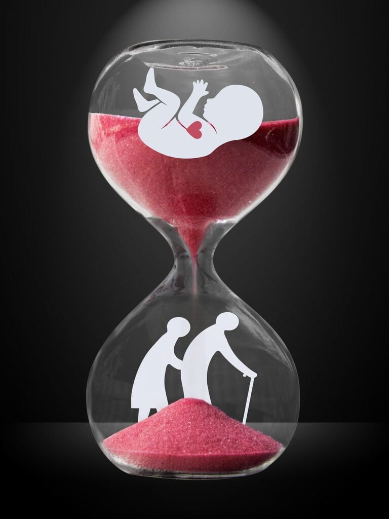 life cycle, growth, hourglass