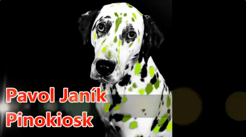 Obrázok je len ilustračný alebo len ako dekorácia.