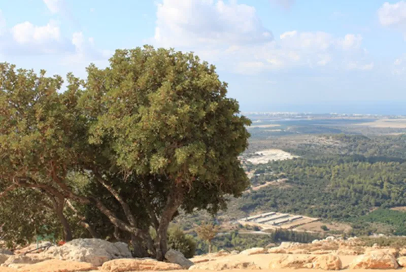 A to někdo říká, že Izrael je maličká země… - podívejte se na ty výhledy! 😊