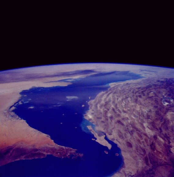 Obrázok je len ilustračný alebo len ako dekorácia.