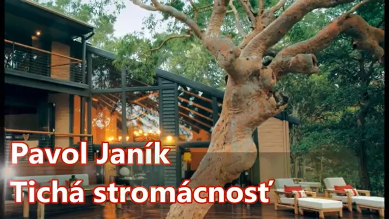 Obrázok je len ilustračný alebo len ako dekorácia.