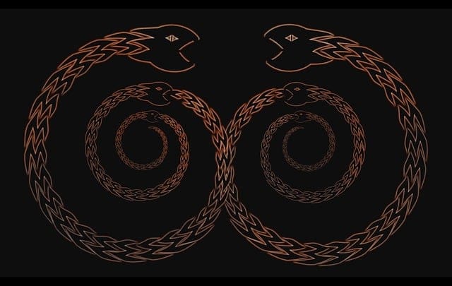 Dva prepletené hady tvoriace bronzový symbol nekonečna na čiernom pozadí.
